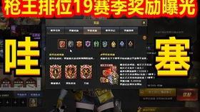 19赛季视频爆料,揭秘赛场幕后风云