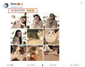 李晨邓超最新爆料视频,揭秘娱乐圈幕后真相